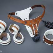 Dsg Shock Collar Bdsm 014