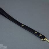 Dsg Leash Medium 001