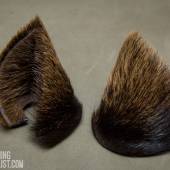 Kitty Ears Noxhyde 001