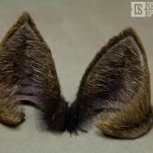 Kitty Ears Noxhyde 002