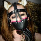 Ttb Muzzle Harness 016 Ttb Muzzle Harness 016