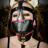 Ttb Muzzle Harness 019 Ttb Muzzle Harness 019
