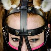 Ttb Muzzle Harness 020 Ttb Muzzle Harness 020