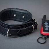 Dsg Shock Collar 001 Dsg Shock Collar 001