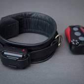 Dsg Shock Collar 002 Dsg Shock Collar 002