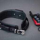 Dsg Shock Collar 003 Dsg Shock Collar 003