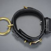 Dsg Shock Collar 004 Dsg Shock Collar 004