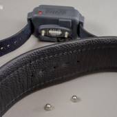 Dsg Shock Collar Wide 004
