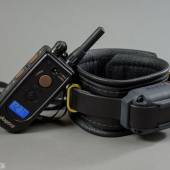 Dsg Shock Collar Wide 006