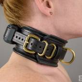 Dsg Shock Collar Wide 009