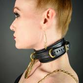 Dsg Utility Collar 006